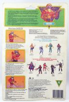 MOTU New Adventures of He-Man - Flogg / Brakk (carte Europe)