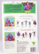 MOTU New Adventures of He-Man - Skeletor (carte Europe)