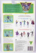 MOTU New Adventures of He-Man - Slush Head / Kalamarr (Europe card)