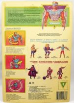 MOTU New Adventures of He-Man - Spinwit  Tornado carte Europe (1)