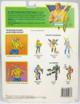 MOTU New Adventures of He-Man - Thunder Punch He-Man (USA Card)