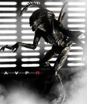 NECA - Alien vs Predator Requiem -  Alien Warrior