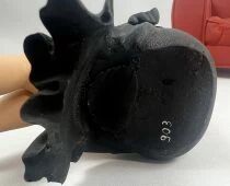 Pin\'Up (Yann et Berthet) - Dargaud Benelux (1998) Resin Statue - Pin\'Up on Club Chair