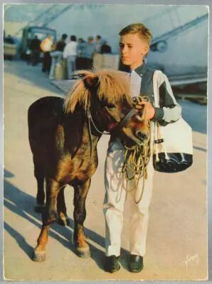 Poly - Carte Postale ORTF / Editions Yvon - N�5