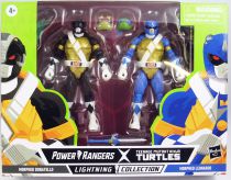 Power Rangers Lightning Collection - TMNT Morphed Donatello & Leonardo - Figurines 16cm Hasbro