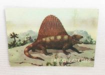 Prehistoric Animals and Presents - Magic picture (Visiomatic) -  La Roche aux Fées n° 21