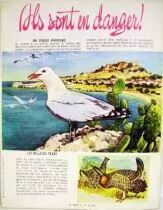 Rin-Tin-Tin - Rintintin Monthly Magazine #6 1978