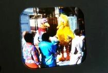 Rue S&eacute;same - 3 Disques View-Master 3D Follow that Bird sans Pochette R&eacute;f. 4066