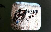 Safari - 3 x View-Master Discs Set Loose Ref. D 127-F