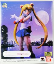 Sailor Moon - Bandai S.H.Figuarts - Sailor Moon Usagi Tsukino (Tamashii Nation 2014 exclusive)