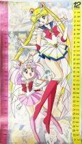 Sailor Moon - Lot of 7 Posters / Calendar 1995 29.2\ x16.4\  (Toei Animation)