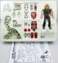 Saint Seiya - Hagen de Merak - Guerrier Divin de Beta (Bandai France)