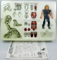 Saint Seiya - Hagen de Merak - Guerrier Divin de Beta (Bandai France)