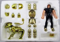 Saint Seiya - Leo Gold Saint - Aiolia (Bandai France)
