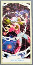 Saint Seiya Knights of the Zodiac - Chewing-gum sticker May Bonneuil France 1988 - Andromeda Shun