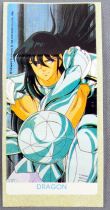 Saint Seiya Knights of the Zodiac - Chewing-gum sticker May Bonneuil France 1988 - Dragon Shiryu