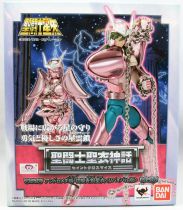 Saint Seiya Myth Cloth - Andromeda Shun \ version 1 - Revival Edition\ 