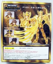 Saint Seiya Myth Cloth Appendix - Aioros - Chevalier d\'Or du Sagittaire