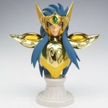 Saint Seiya Myth Cloth Appendix - Aquarius Camus