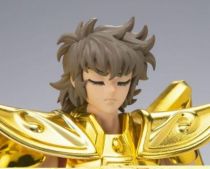 Saint Seiya Myth Cloth EX - Aioros - Chevalier d\'Or du Sagittaire