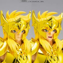 Saint Seiya Myth Cloth EX - Aquarius Hyoga \ Inheritor of the Gold Cloth\ 