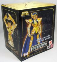 saint_seiya_myth_cloth_ex___camus___chevalier_d_or_du_verseau__2_