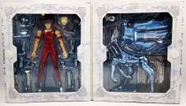 Saint Seiya The Lost Canvas Myth Cloth - Pegasus Tenma