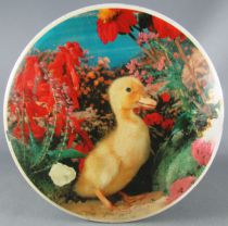 Saturnin - Boite en tôle Brochet - Saturnin et les Fleurs