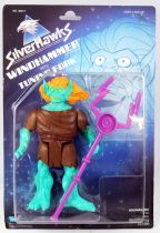 Silverhawks - Kenner - Windhammer & Tuning Fork (Blue card)