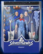 Silverhawks - Super7 Ultimates Figures - Bluegrass & Side Man
