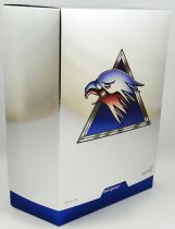 Silverhawks - Super7 Ultimates Figures - Stargazer & Sly Bird