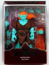 Silverhawks - Super7 Ultimates Figures - Windhammer & Tuning Fork (Toy Color Version)