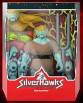Silverhawks - Super7 Ultimates Figures - Windhammer & Tuning Fork