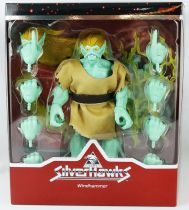 Silverhawks - Super7 Ultimates Figures - Windhammer & Tuning Fork