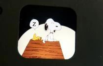 Snoopy - Gift Pack of 10 x Gaf View-Master Discs Set Charlie Brown Theater