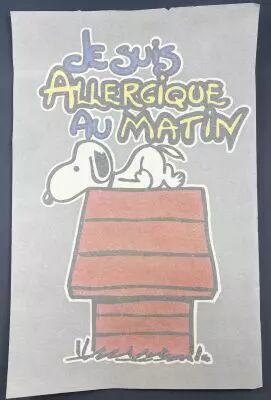 Snoopy - Transfert � Chaud Vintage pour T-Shirt - \ Je suis allergique au matin\ 
