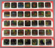 Snow White - Meccano France - Minema Complete Set 15 Strips 107 Colors Views