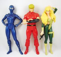 Space Adventures Cobra - Inspire - 12\  vinyl figures Cobra, Lady & Jane Royal set