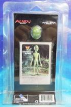 Space Toys - Figurines Plastiques - Reptilian Alien (Myth & Legends Miniatures Set #2)