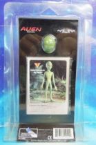 Space Toys - Plastic Figures - Reptilian Alien (Myth & Legends Miniatures Set #2)