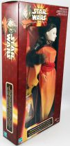 Star Wars - Hasbro - Queen Amidala (Hidden Majesty)