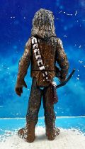 Star Wars (Loose) - Kenner/Hasbro - Chewbacca (Hoth) POTF2