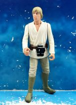Star Wars (Loose) - Kenner/Hasbro - Luke Skywalker (Purchase of the Droids)