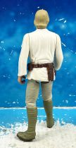 Star Wars (Loose) - Kenner/Hasbro - Luke Skywalker (Purchase of the Droids)