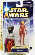 Star Wars (Saga Collection) - Hasbro - Ayy Vida