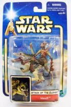 Star Wars (Saga Collection) - Hasbro - Massiff