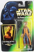 Star Wars (The Power of the Force) - Kenner - Saelt Marae Yak Face