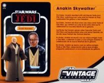 Star Wars (The Vintage Collection) - Hasbro - Anakin Skywalker - Return of the Jedi