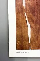 Star Wars 1977: A New Hope - Movie Poster One Sheet Style D 27\ x41\  (Fan Club Issue) 1995