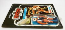 Star Wars ESB 1980 - Palitoy 30back B - Luke Skywalker \ X-wing Pilot\  (Miro-Meccano Archives)